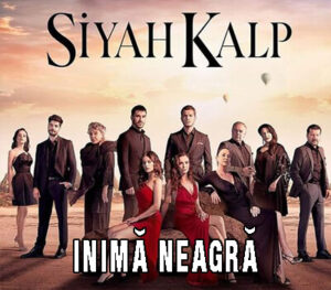 Read more about the article Inima Neagra Episodul 31 Subtitrat in Romana
